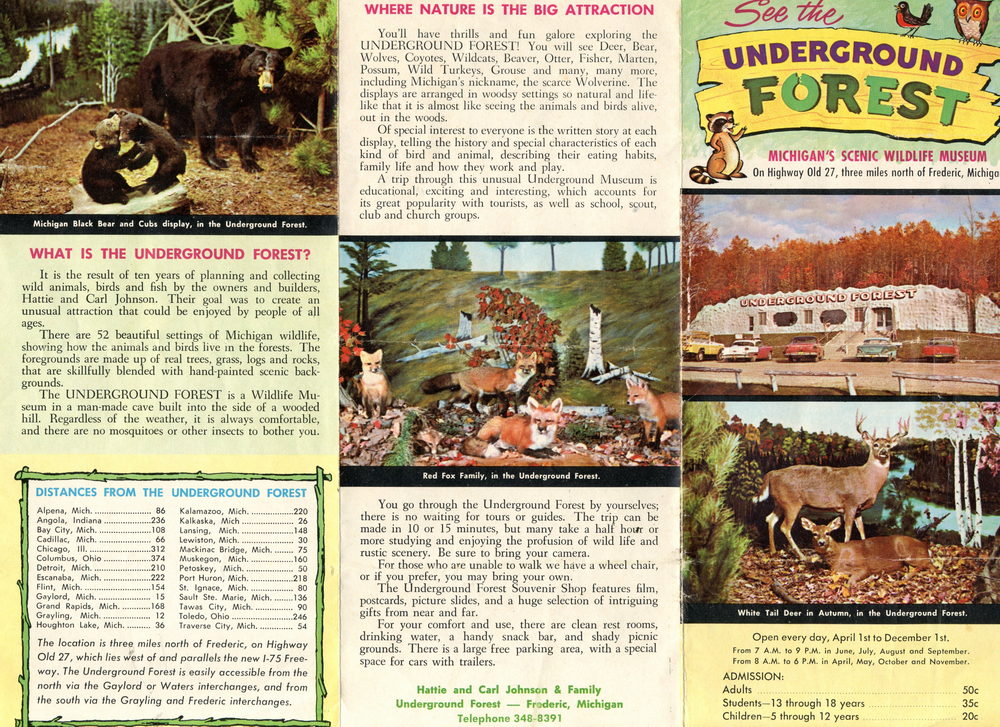 Underground Forest - Old Flyer